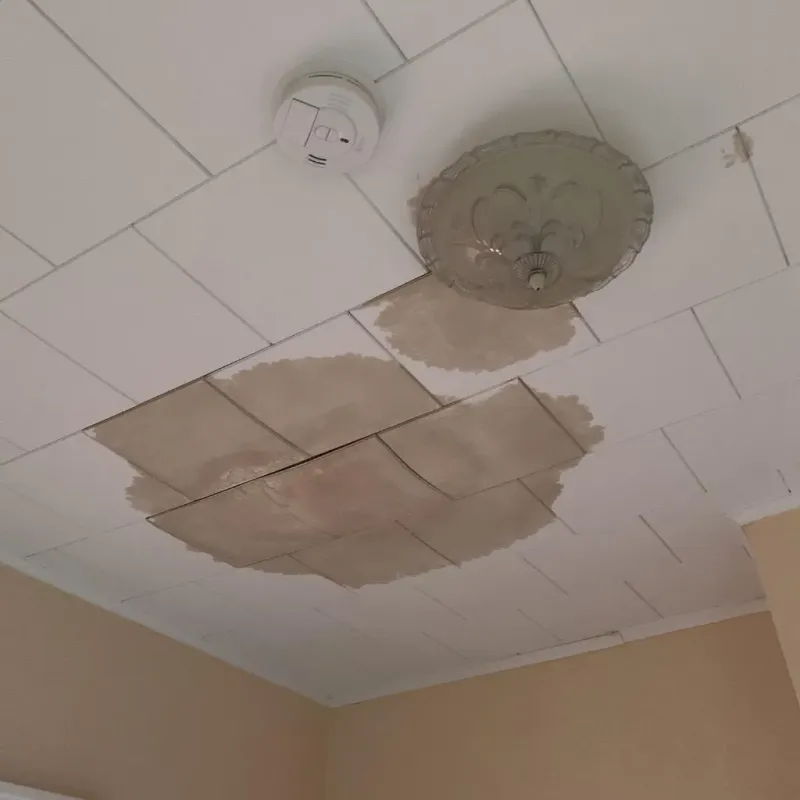 Ceiling Water Damage Repair in Byesville, OH