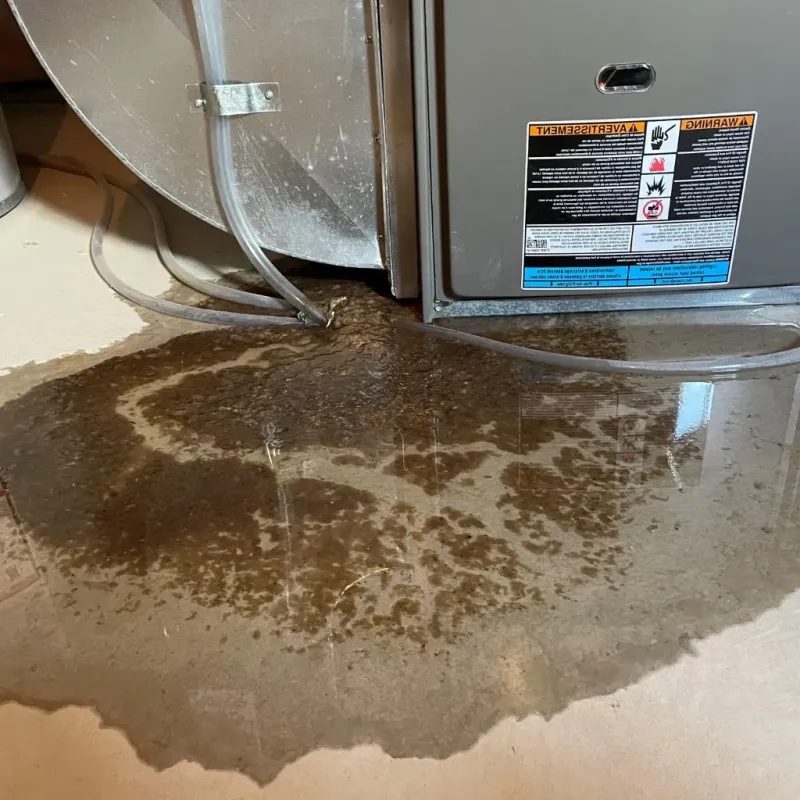 Pipe Burst and Leak Restoration in Byesville, OH