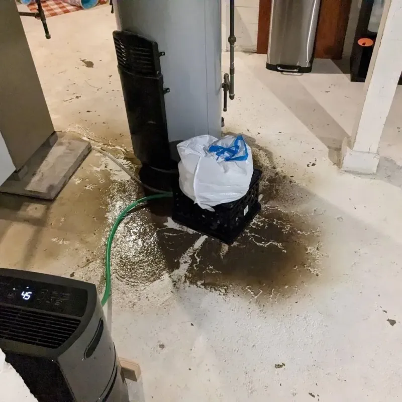 Sewage Backup Cleanup Service in Byesville, OH